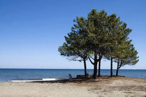 Camping Merendella Moriani Plage Buitenkant foto